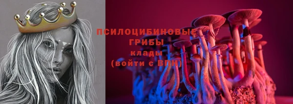 a pvp Осинники