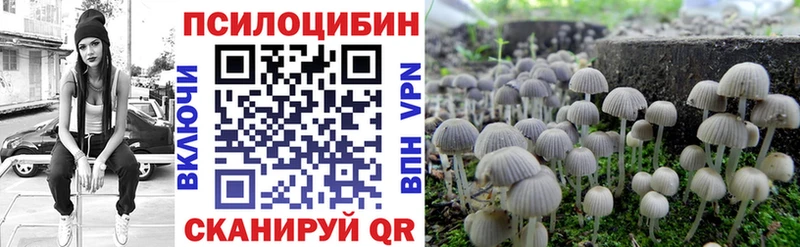 купить наркотик  Сосенский  Галлюциногенные грибы Cubensis 