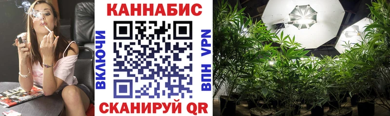 MEGA ONION  Сосенский  площадка как зайти  Бошки марихуана White Widow 